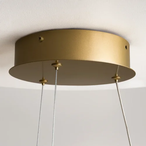 Люстра подвесная LED Curve MOD241PL-L60BSK Maytoni латунь на 1 лампу, основание латунь в стиле современный хай-тек фото 9