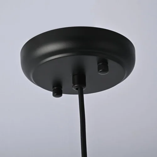 Светильник подвесной Adria 101277-26 ImperiumLoft прозрачный 1 лампа, основание чёрное в стиле современный  фото 9