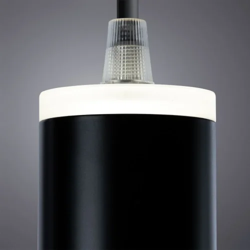 Светильник подвесной LED Altais A6110SP-2BK Arte Lamp чёрный 2 лампы, основание чёрное в стиле современный трубочки фото 2
