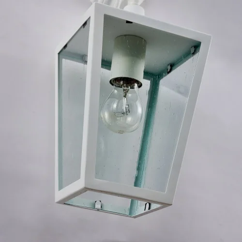 Настенный светильник Bison 4000-1W Favourite уличный IP44 белый 1 лампа, плафон прозрачный в стиле замковый кантри E27 фото 6
