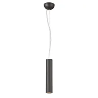 Светильник подвесной Pendenti 1963-1P Favourite чёрный 1 лампа, основание чёрное в стиле современный трубочки