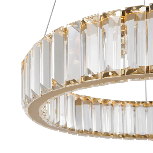 Светильник подвесной LED с пультом Tier FR5257PL-L17G Freya прозрачный на 1 лампу, основание латунь в стиле современный кольца фото 4