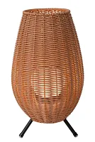 Ландшафтный светильник LED Colin Ip44 03843/36/72 Lucide уличный IP44 чёрный на 1 лампу, плафон коричневый бежевый в стиле кантри LED
