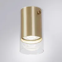 Светильник накладной Lazio A5365PL-1SG Arte Lamp прозрачный золотой на 1 лампу, основание золотое в стиле современный 