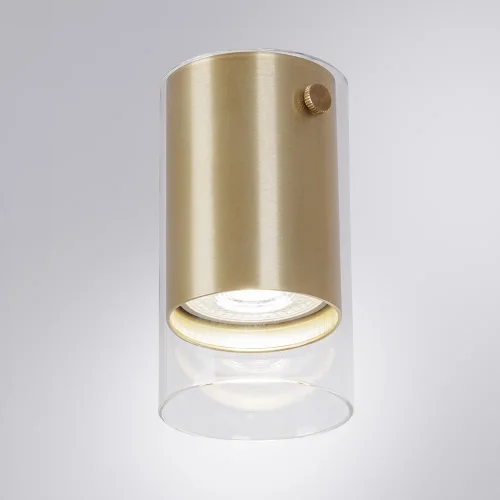 Светильник накладной Lazio A5365PL-1SG Arte Lamp золотой прозрачный на 1 лампу, основание золотое в стиле современный 