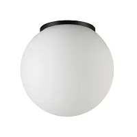 Потолочный светильник уличный Viva 7124/1C Odeon Light уличный IP54 чёрный на 1 лампу, плафон белый в стиле хай-тек современный G9