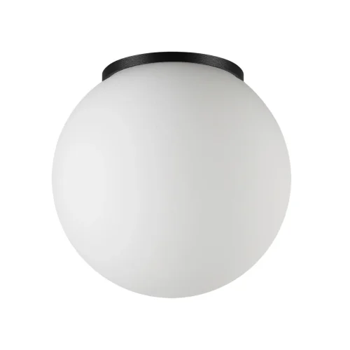 Потолочный светильник уличный Viva 7124/1C Odeon Light уличный IP54 чёрный на 1 лампу, плафон белый в стиле хай-тек современный G9