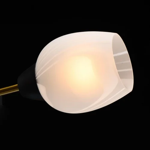 Люстра потолочная Олимпия 638018608 MW-Light белая на 8 ламп, основание чёрное в стиле классический фото 5