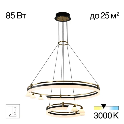 Люстра подвесная LED Helly CL211092 Citilux белая на 1 лампу, основание чёрное в стиле современный 
