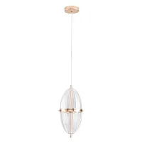 Светильник подвесной LED Andromeda A2089SP-3GO Arte Lamp прозрачный на 1 лампу, основание золотое в стиле современный выдувное