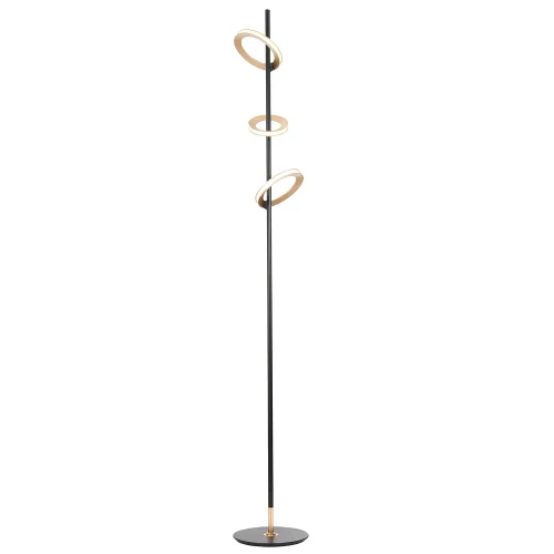 Торшер LED Jongleur 4322-3F Favourite матовый золото на 2 лампы, основание чёрное в стиле современный 