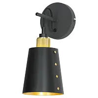 Бра Shirley LSP-8581 Lussole чёрный 1 лампа, основание чёрное в стиле современный лофт 
