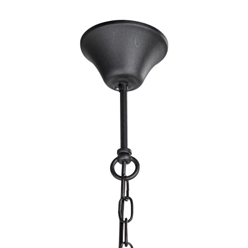 Люстра подвесная V3756-1/8 Vitaluce без плафона на 8 ламп, основание чёрное в стиле ковка кантри фото 4