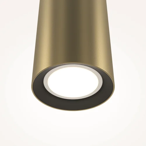 Светильник подвесной Pro Focus MOD161PL-01G1 Maytoni золотой на 1 лампу, основание золотое в стиле современный трубочки фото 6