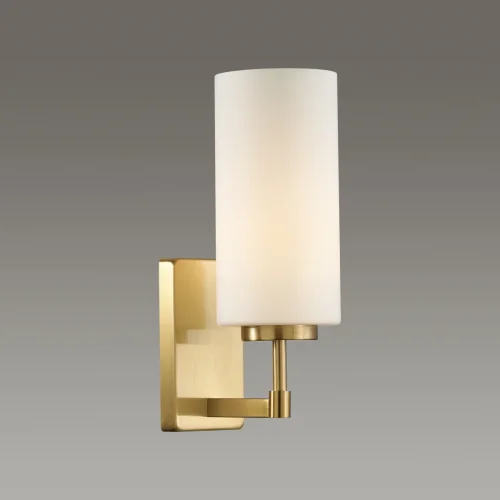 Бра Kasali 4990/1W Odeon Light белый на 1 лампа, основание золотое в стиле современный  фото 4
