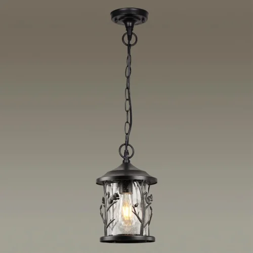 Подвесной светильник уличный Cuita 4963/1 Odeon Light уличный IP44 чёрный на 1 лампу, плафон прозрачный в стиле классический E27 фото 5