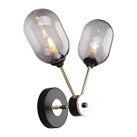 Бра лофт Loano OML-94801-02 Omnilux прозрачный 2 лампы, основание чёрное в стиле лофт 