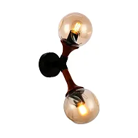 Бра Raquel SLE109401-01 Evoluce прозрачный 2 лампы, основание чёрное в стиле современный молекула