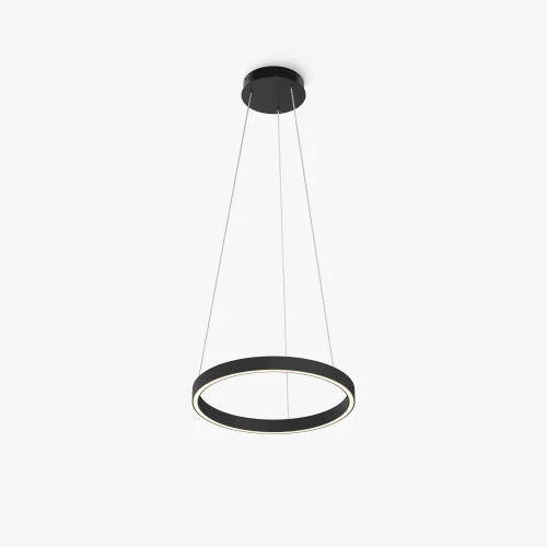 Светильник подвесной LED Rim MOD058PL-L22BK Maytoni чёрный на 1 лампу, основание чёрное в стиле современный хай-тек минимализм кольца фото 3