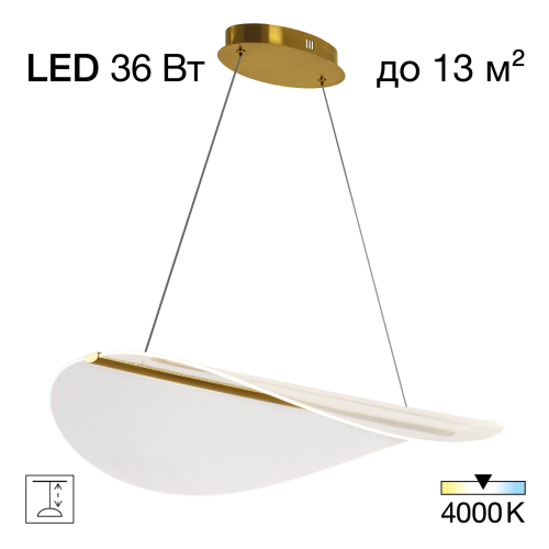 Светильник подвесной LED с пультом Skatt CL213132 Citilux прозрачный на 1 лампу, основание латунь в стиле хай-тек современный с пультом