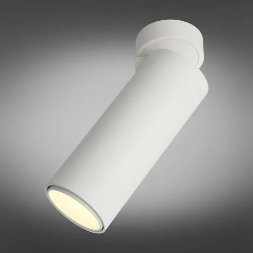 Светильник накладной LED Montella OML-101409-12 Omnilux белый 1 лампа, основание белое в стиле хай-тек круглый