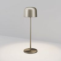 Ландшафтный светильник ЛЕД Благородный / Noble O528TL-L2PTCCT Maytoni уличный IP65 платина на 1 лампу, плафон платина в стиле современный ЛЕД