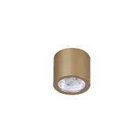 Светильник накладной LED Deorsum 2807-1C Favourite золотой 1 лампа, основание золотое в стиле хай-тек модерн круглый