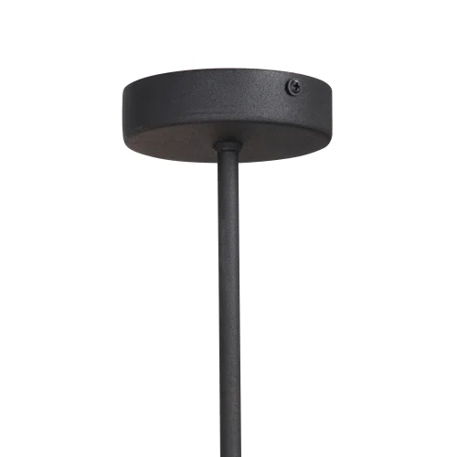 Люстра потолочная V4897-1/8PL Vitaluce без плафона на 8 ламп, основание чёрное в стиле лофт фото 4