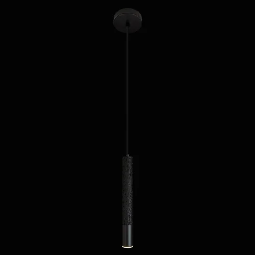 Светильник подвесной Эверест / Everest 10583C Black LOFT IT чёрный на 1 лампу, основание чёрное в стиле современный фото 3 Светильник подвесной Эверест / Everest 10583C Black LOFT IT чёрный на 1 лампу, основание чёрное в стиле современный фото 3