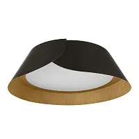 Светильник потолочный LED Lane 10370 Black LOFT IT белый на 1 лампу, основание чёрное в стиле современный 