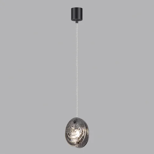Светильник подвесной Mussels 5038/1A Odeon Light чёрный серый 1 лампа, основание чёрное в стиле современный  фото 4