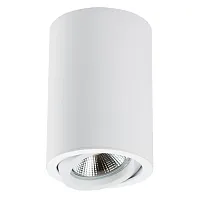 Светильник накладной Rullo 214406 Lightstar белый 1 лампа, основание белое в стиле современный круглый