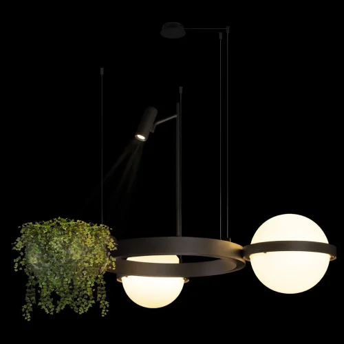 Светильник подвесной LED Jardin 10121/2 Dark grey LOFT IT белый 2 лампы, основание чёрное антрацит в стиле флористика арт-деко  фото 2