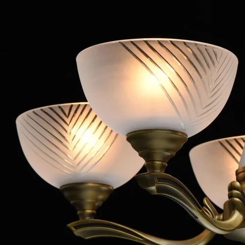 Люстра подвесная Афродита 317014808 MW-Light белая на 8 ламп, основание античное бронза в стиле классика  фото 5