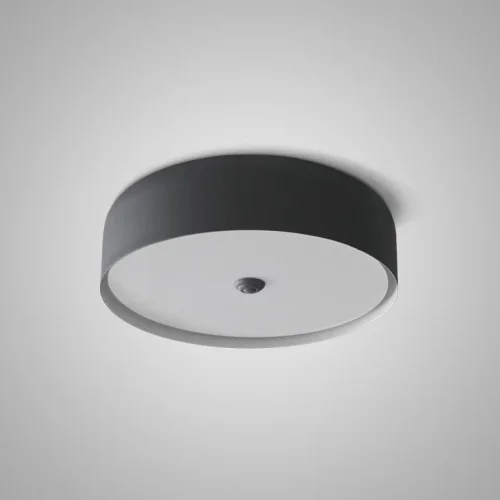 Светильник потолочный CYLINDER B Black 178352-26 ImperiumLoft чёрный на 1 лампу, основание чёрное в стиле скандинавский современный 