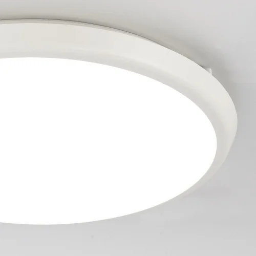 Потолочный светильник LED Aneto 6486 Mantra уличный IP65 белый 1 лампа, плафон белый в стиле современный LED фото 4