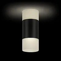 Светильник накладной LED Kassel 52064 1 Ritter белый 1 лампа, основание чёрное в стиле современный круглый