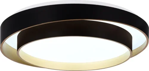 Светильник потолочный LED Crosby SLE6009-402-01 Evoluce белый на 1 лампу, основание чёрное в стиле минимализм фото 2
