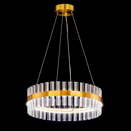 Люстра подвесная LED с пультом Рианна CL337053 Citilux прозрачная на 1 лампа, основание бронзовое в стиле современный лофт арт-деко с пультом фото 4