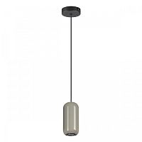 Светильник подвесной Ovali 5053/1D Odeon Light серый 1 лампа, основание чёрное в стиле современный трубочки