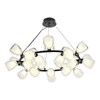 Люстра подвесная Inglewood LSP-6065 Lussole белая на 28 ламп, основание чёрное в стиле современный 