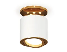 Светильник накладной XS7401120 Ambrella light белый 1 лампа, основание золотое в стиле модерн хай-тек круглый