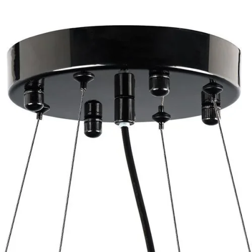 Люстра подвесная Savona 816207 Lightstar чёрная на 20 ламп, основание чёрное в стиле арт-деко  фото 7