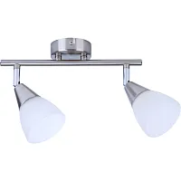 Спот с 2 лампами Keziah TL1232Y-02SN Toplight белый E14 в стиле современный 