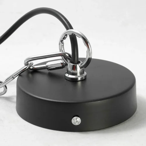 Светильник подвесной лофт LSP-8029 Lussole чёрный 1 лампа, основание чёрное в стиле лофт  фото 6