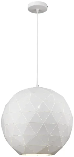 Светильник подвесной Delfio WE261.01.006 Wertmark белый 1 лампа, основание белое в стиле современный шар