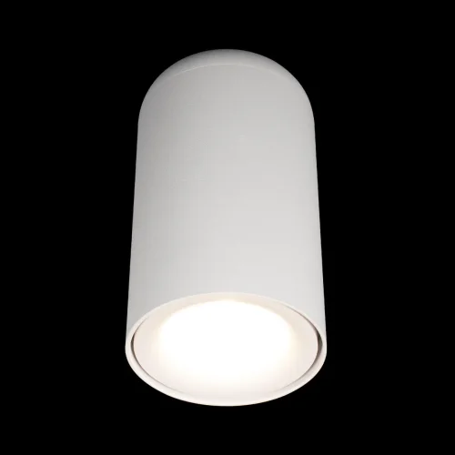 Светильник накладной LED Tictac 10220 White 3000K LOFT IT белый 1 лампа, основание белое в стиле современный круглый фото 2