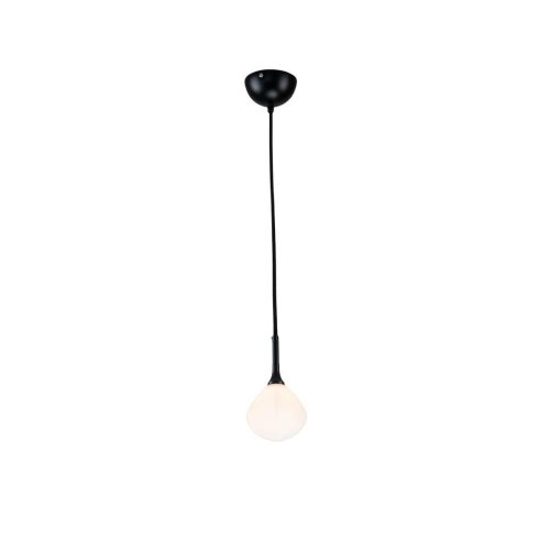 Светильник подвесной Suri 2688-1P Favourite белый 1 лампа, основание чёрное в стиле флористика 