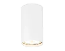 Светильник накладной TN213108 Ambrella light белый 1 лампа, основание белое в стиле минимализм хай-тек круглый