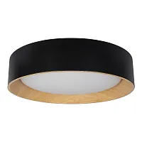 Светильник потолочный LED Coin 10202 Black LOFT IT чёрный белый коричневый 1 лампа, основание коричневое чёрное в стиле современный 